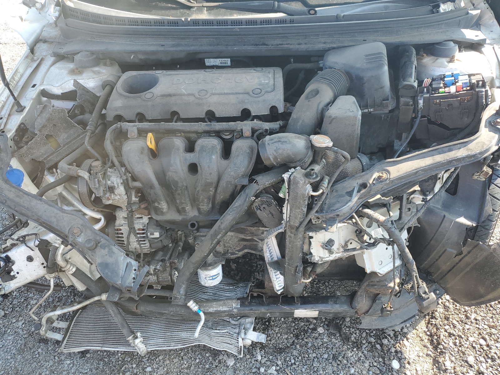 KNAFU6A21A5124569 2010 Kia Forte Ex