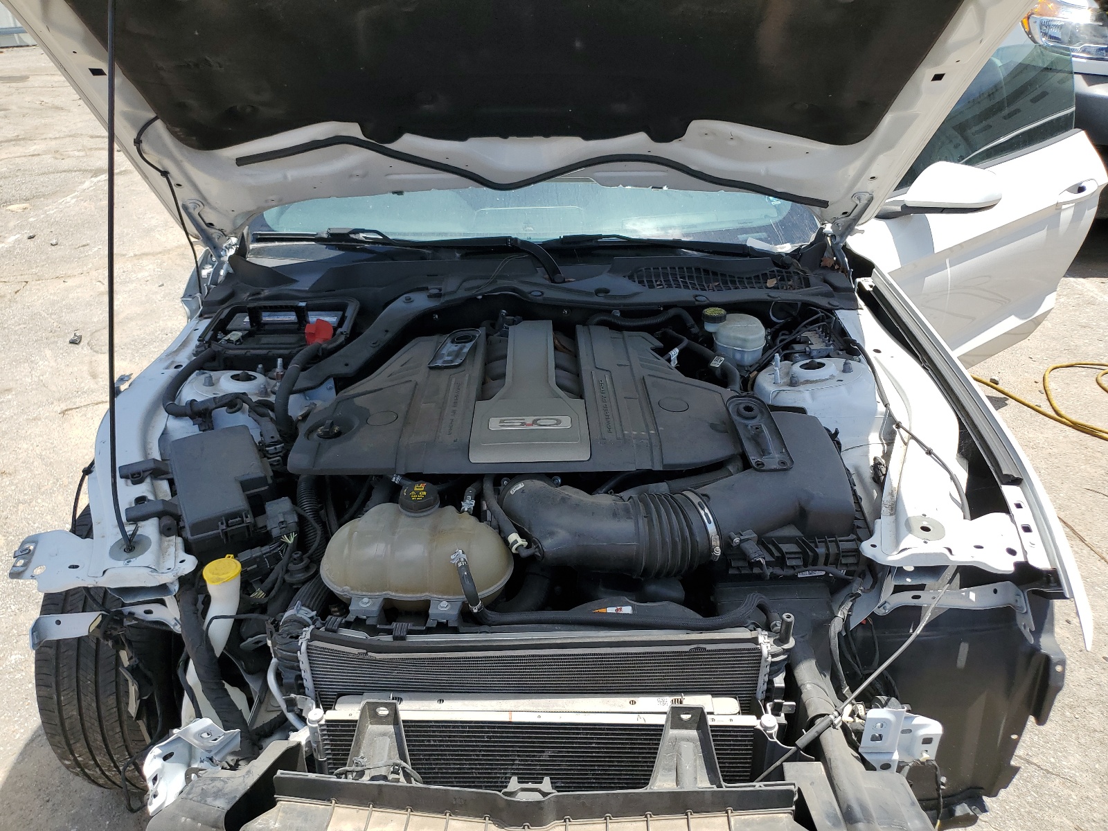 1FA6P8CF5J5101517 2018 Ford Mustang Gt