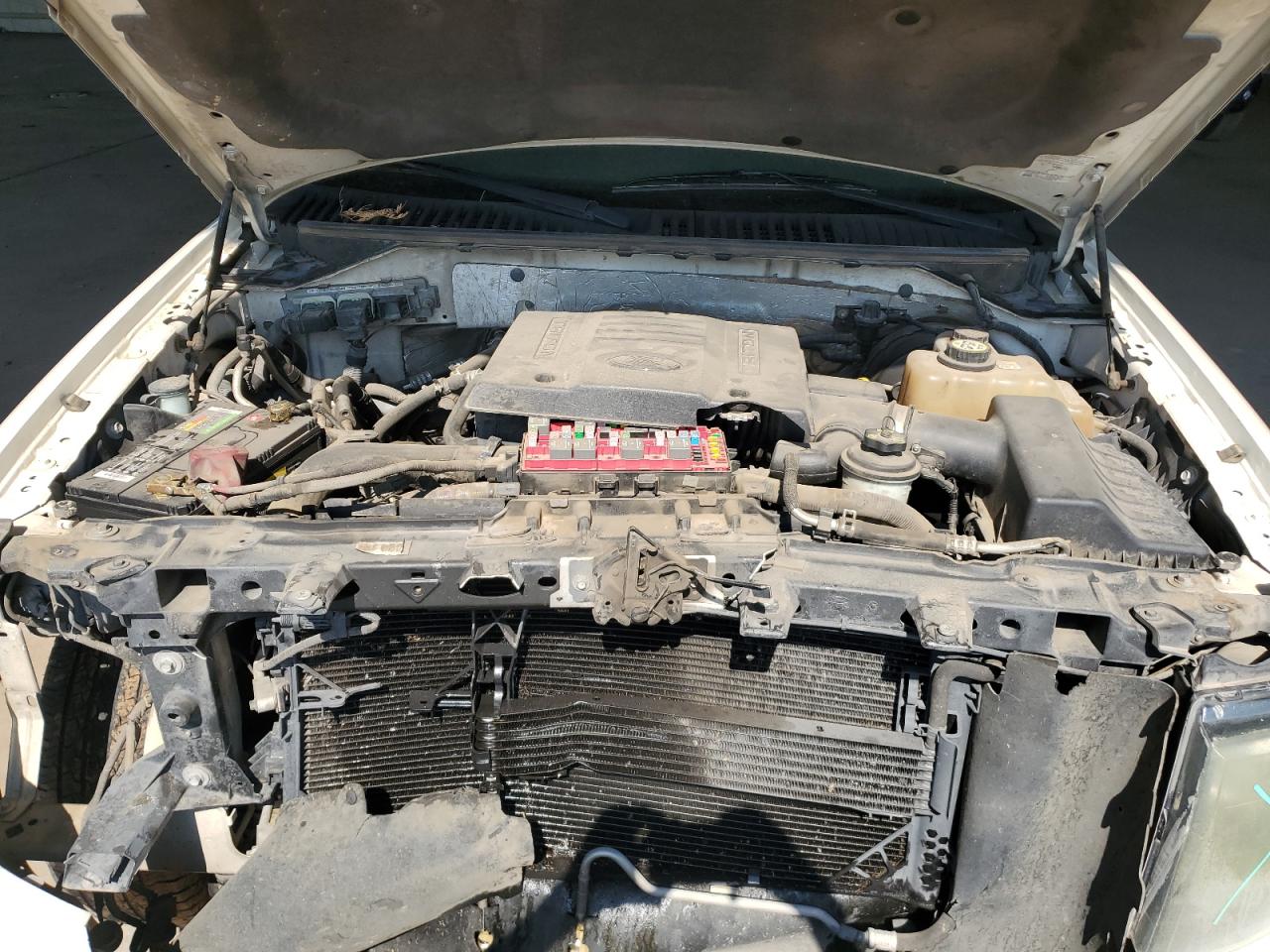 2007 Ford Expedition Limited VIN: 1FMFU19537LA51807 Lot: 62060274