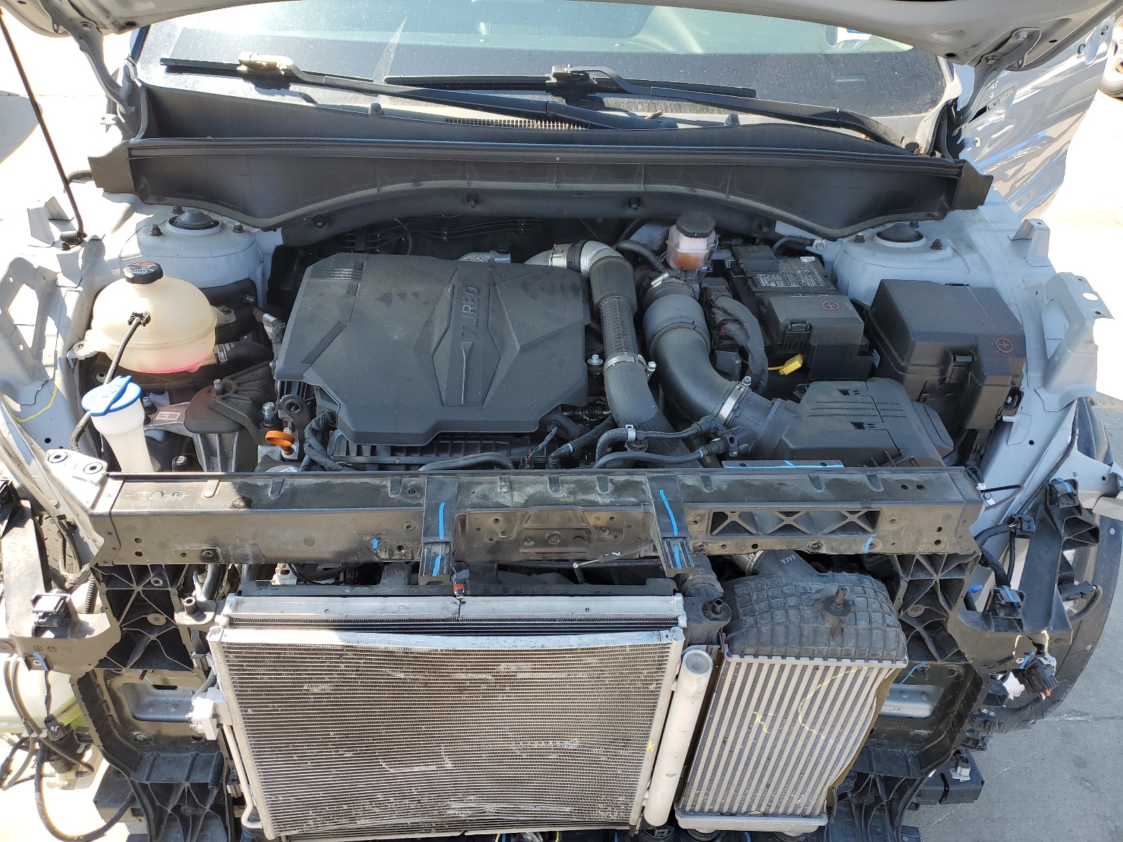 5XYRKDLF3NG120319 2022 Kia Sorento Sx