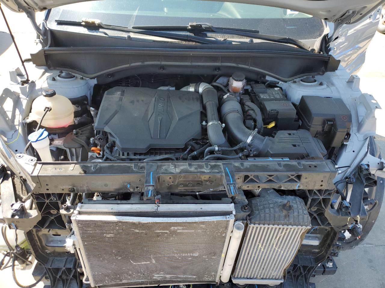 2022 Kia Sorento Sx VIN: 5XYRKDLF3NG120319 Lot: 61938474