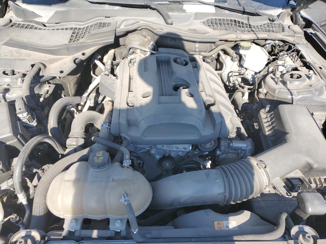 2018 Ford Mustang VIN: 1FA6P8TH1J5135164 Lot: 62490024