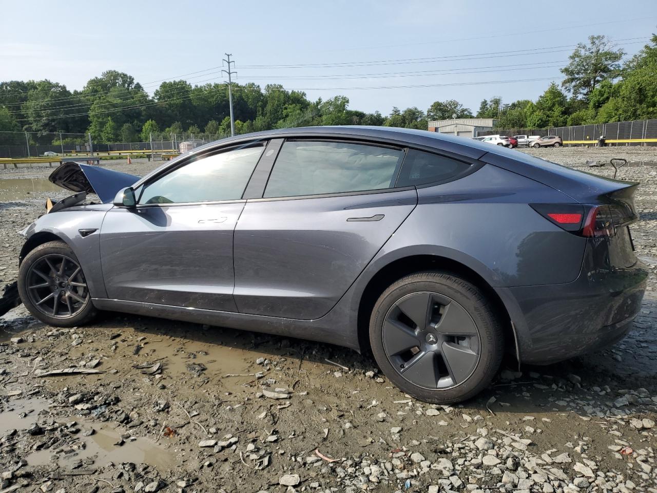 5YJ3E1EB4PF666661 2023 TESLA MODEL 3 - Image 2