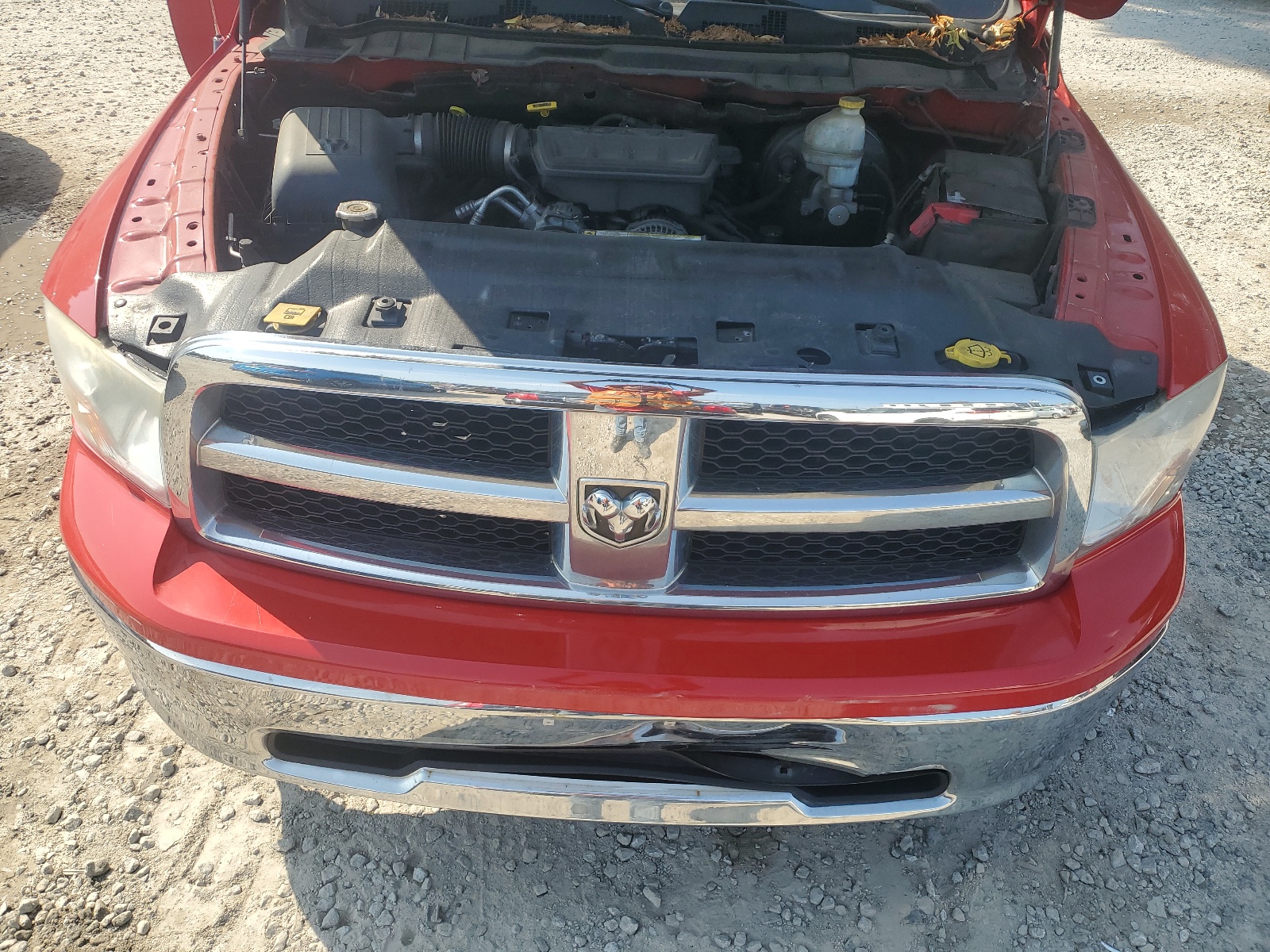 1D7RV1GPXAS180715 2010 Dodge Ram 1500