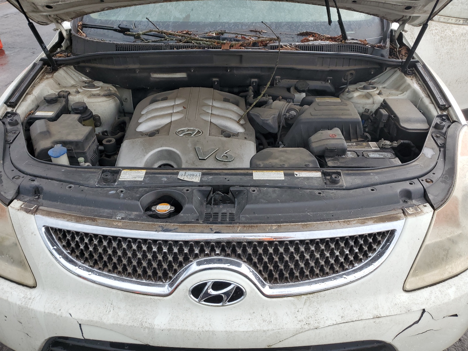 KM8NU73C37U009959 2007 Hyundai Veracruz Gls