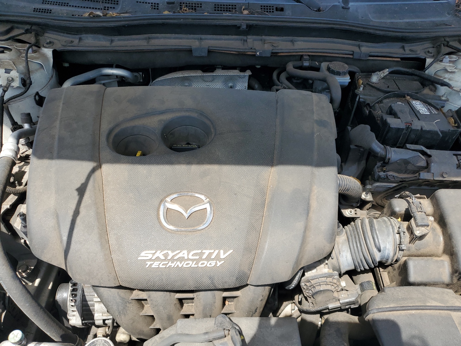 JM1BM1T76E1134444 2014 Mazda 3 Sv