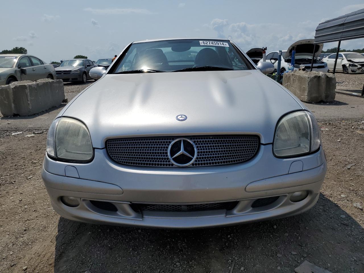 2002 Mercedes-Benz Slk 320 VIN: WDBKK65F52F245815 Lot: 62745914