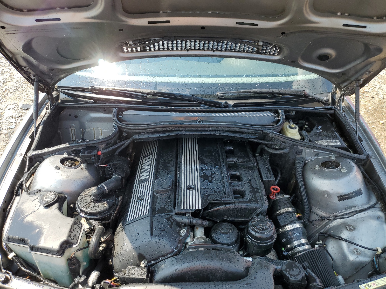 WBABW53424PL45768 2004 BMW 330 Ci