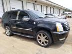 Louisville, KY에서 판매 중인 2007 Cadillac Escalade Luxury - Rear End