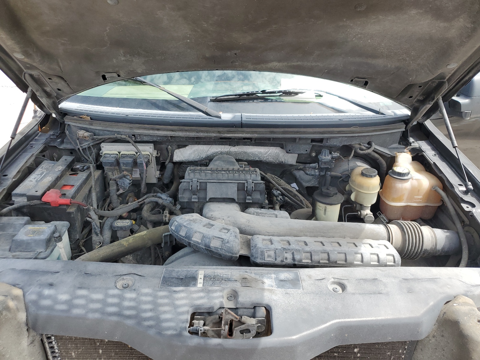 1FTPW12V56FB41177 2006 Ford F150 Supercrew