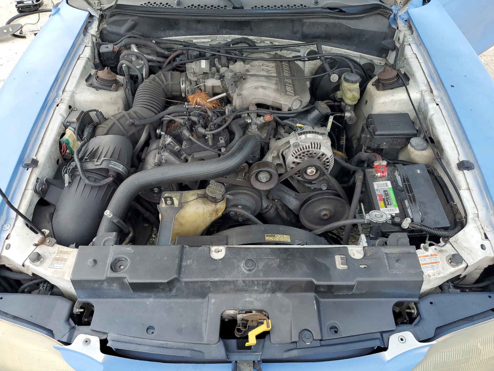 1FAFP4040WF242766 1998 Ford Mustang