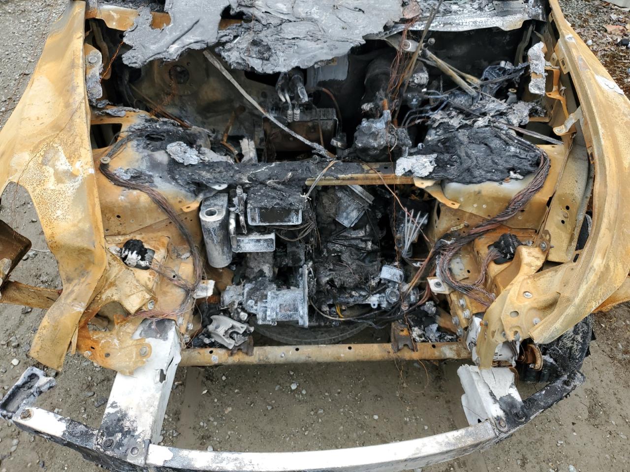 2024 Tesla Model Y VIN: 7SAYGDEE7RF062779 Lot: 58865534