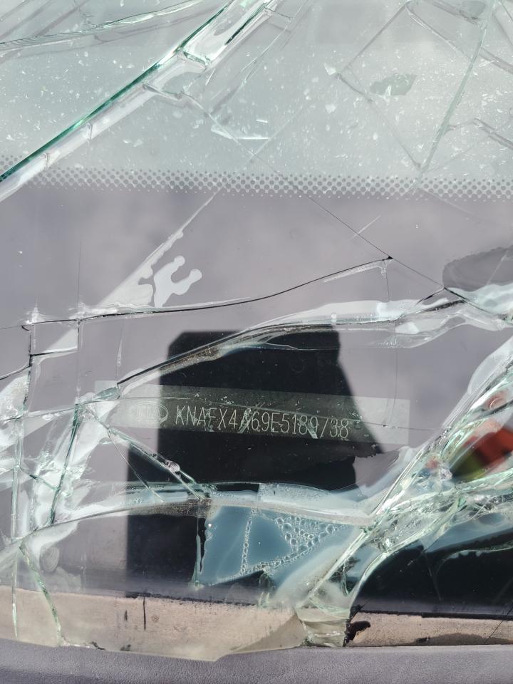 2014 Kia Forte Lx VIN: KNAFX4A69E5189738 Lot: 63385214