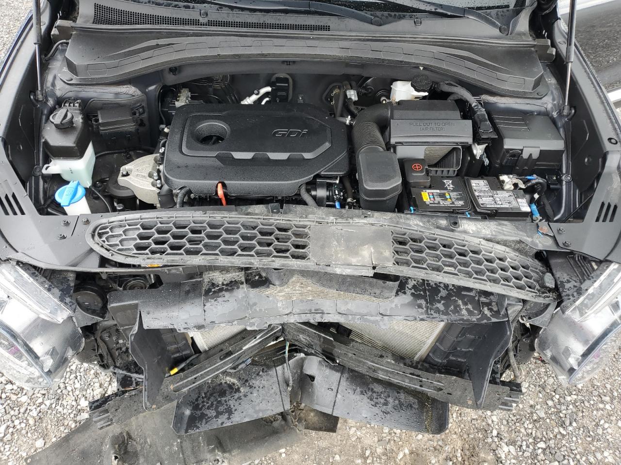 2020 Hyundai Santa Fe Sel VIN: 5NMS3CAD4LH264183 Lot: 65409234