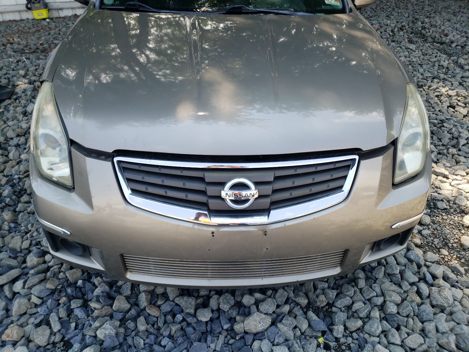 1N4BA41EX7C823878 2007 Nissan Maxima Se