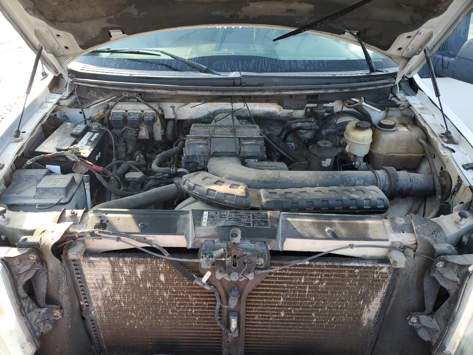 1FTPX12V17KD19673 2007 Ford F150