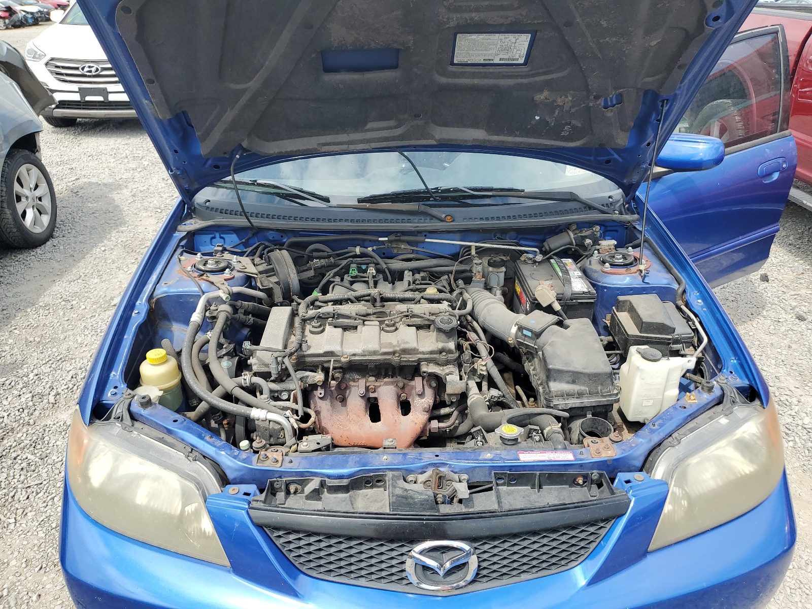 JM1BJ226331155756 2003 Mazda Protege Dx