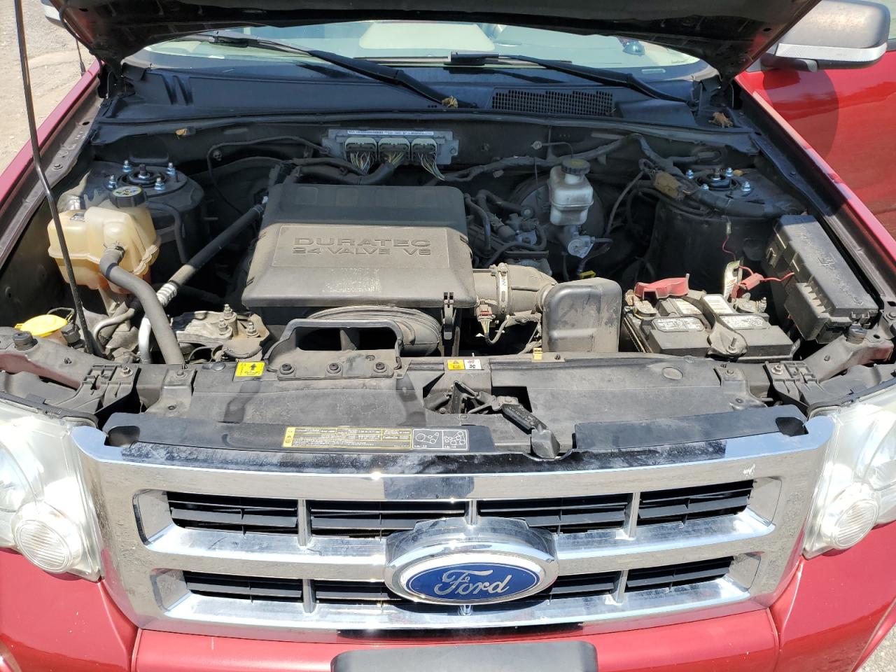 2011 Ford Escape Xlt VIN: 1FMCU9DG8BKB82675 Lot: 61559904