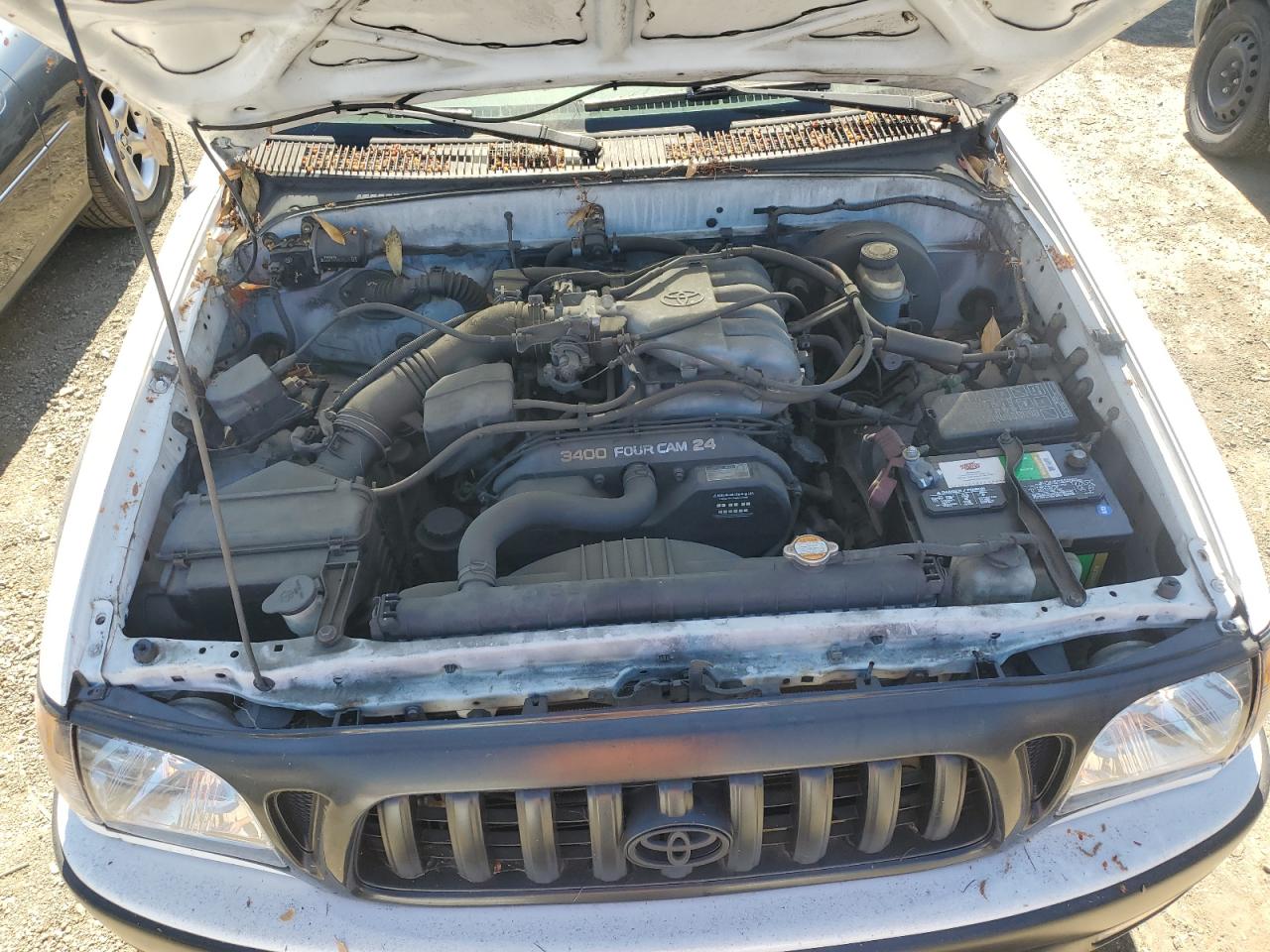 2002 Toyota Tacoma Xtracab Prerunner VIN: 5TESN92N42Z128588 Lot: 65290714