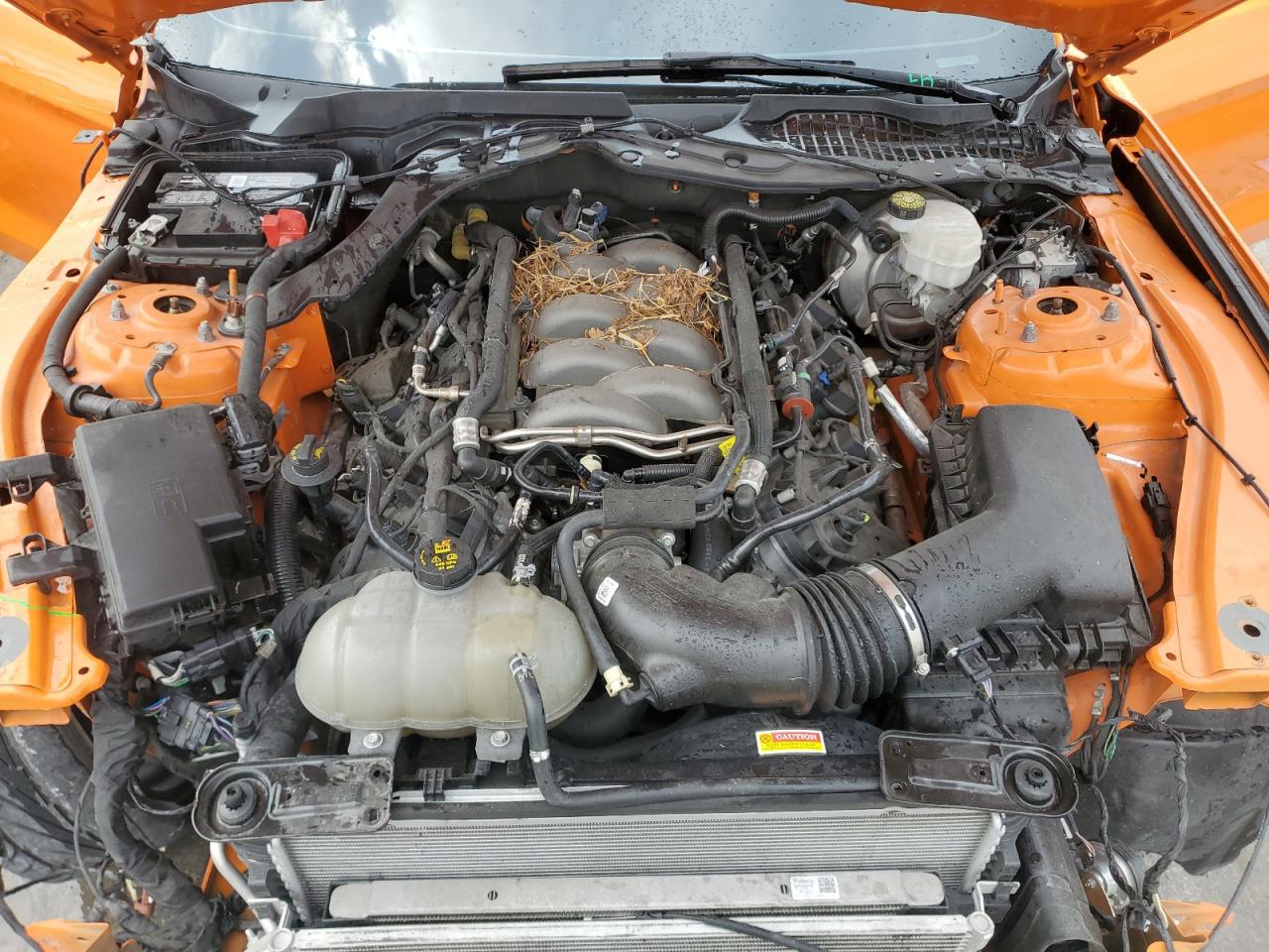 2021 Ford Mustang Gt VIN: 1FA6P8CFXM5115756 Lot: 63491774