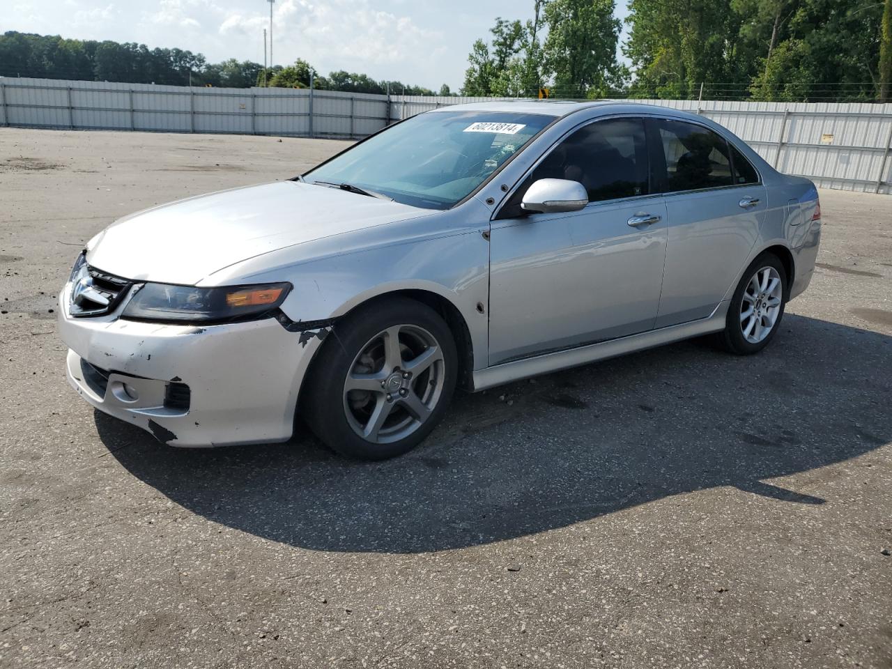 2006 Acura Tsx VIN: JH4CL96876C039065 Lot: 60213814