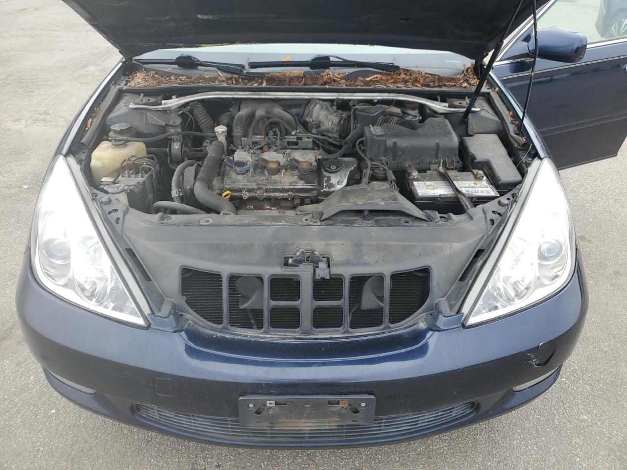 2004 Lexus Es 330 VIN: JTHBA30G245038146 Lot: 64077174