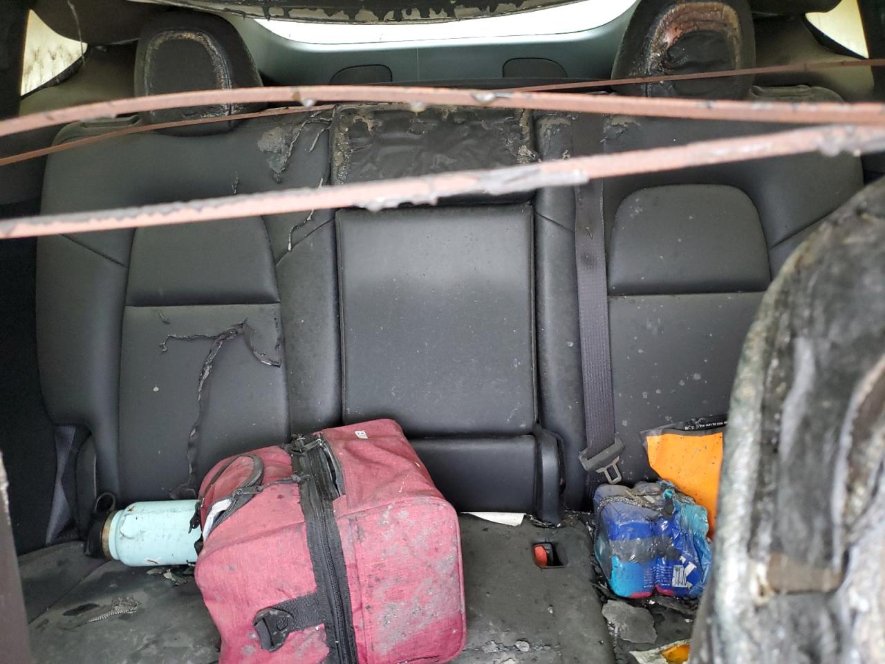 2024 Tesla Model Y VIN: 7SAYGDEE7RF062779 Lot: 58865534