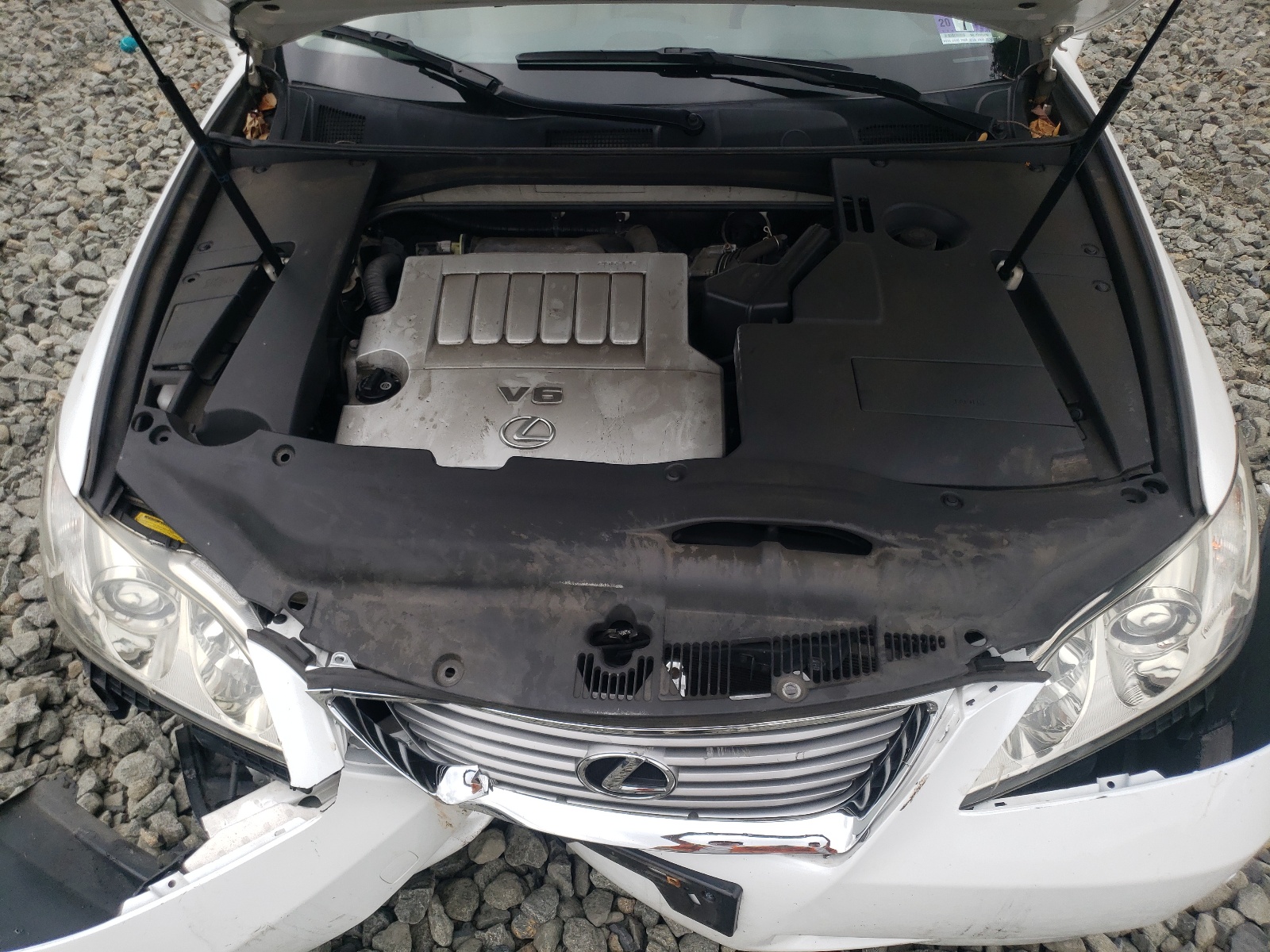 JTHBJ46G392304411 2009 Lexus Es 350