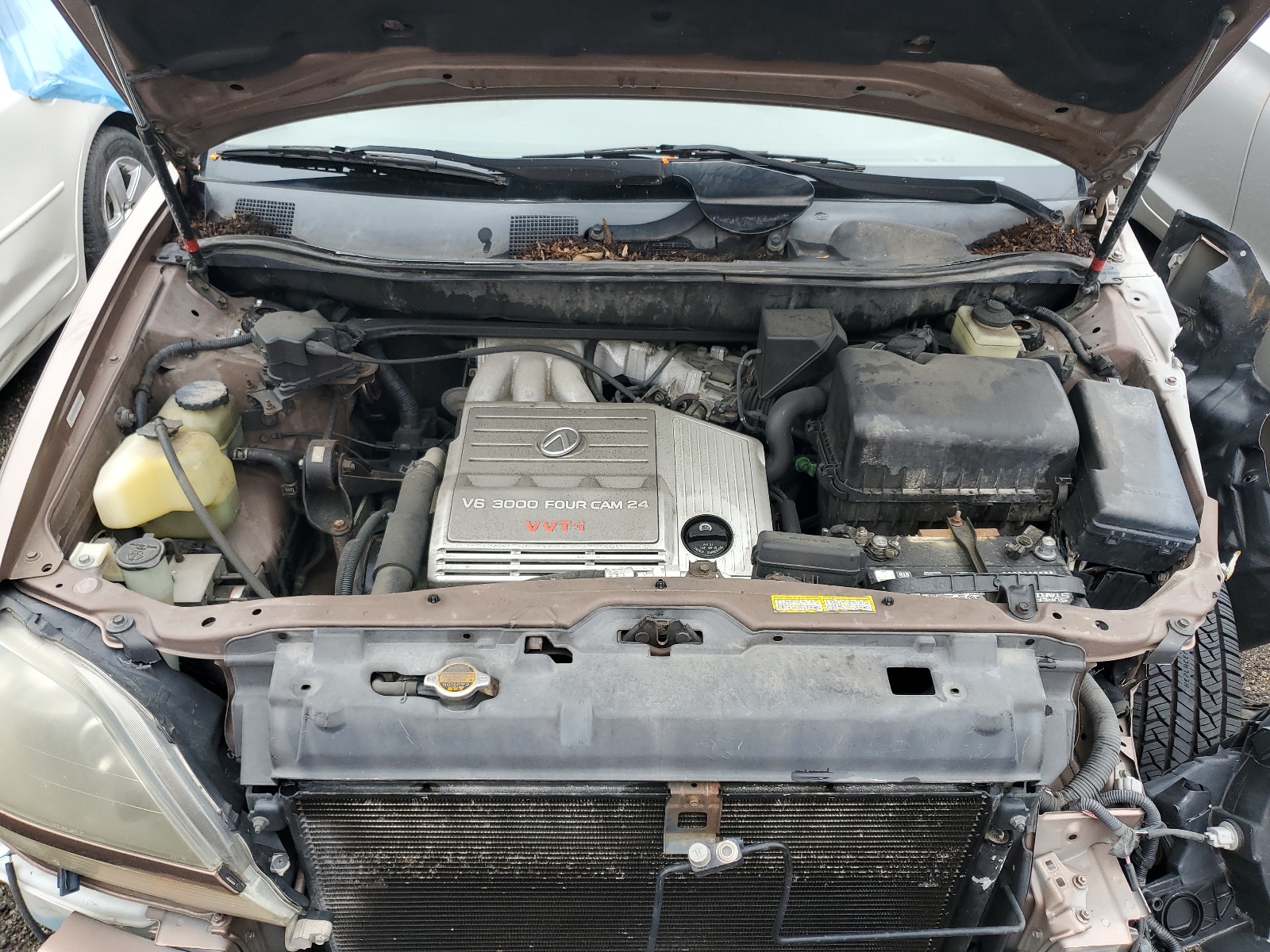 JT6HF10U4X0035765 1999 Lexus Rx 300