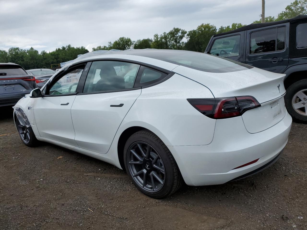 2023 Tesla Model 3 VIN: 5YJ3E1EB3PF596649 Lot: 62642354