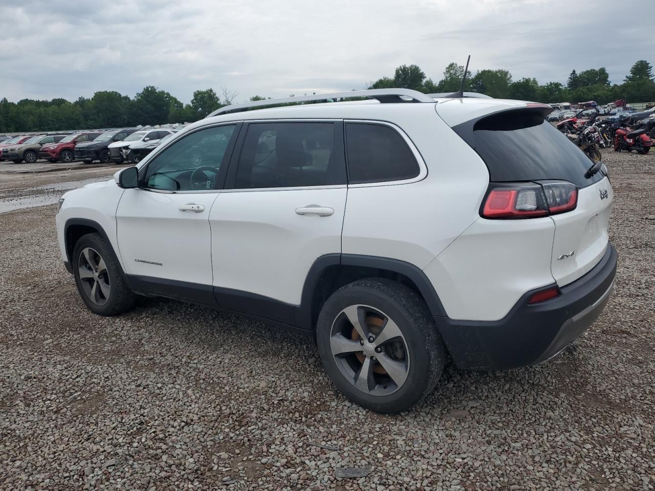 2019 Jeep Cherokee Limited VIN: 1C4PJMDX2KD476224 Lot: 63238824