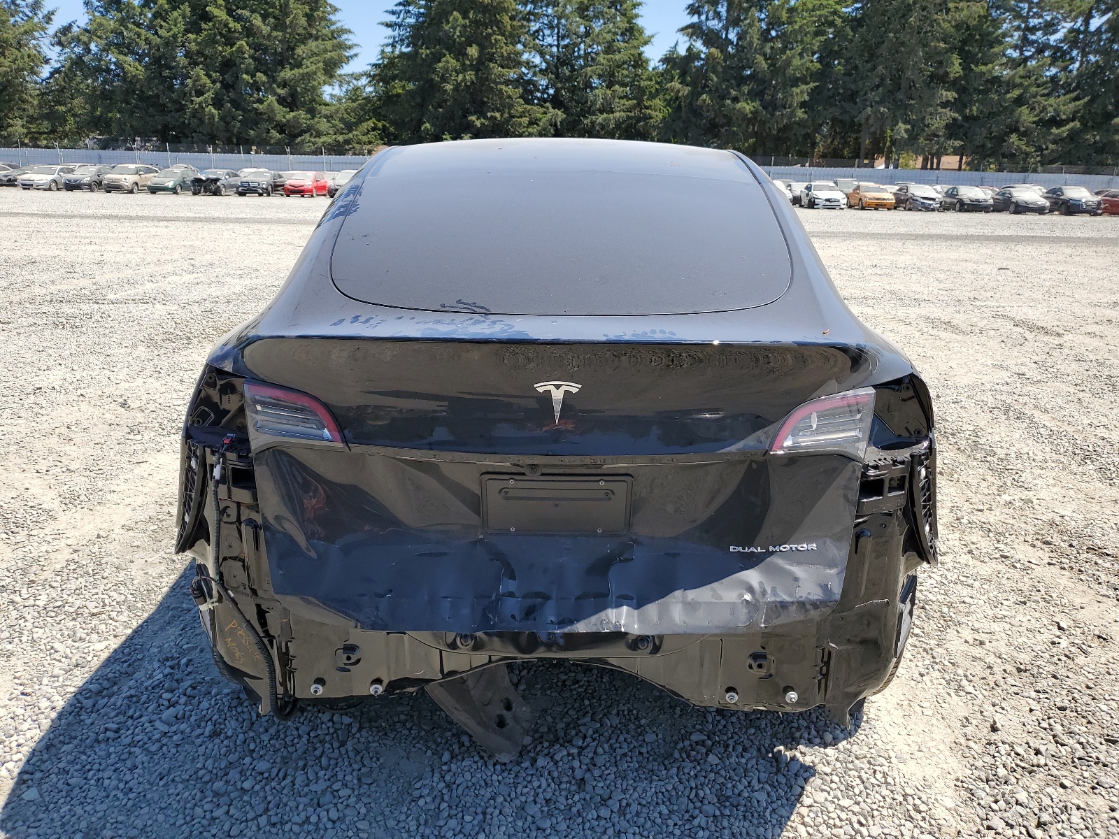 7SAYGDEE7RF981732 2024 Tesla Model Y