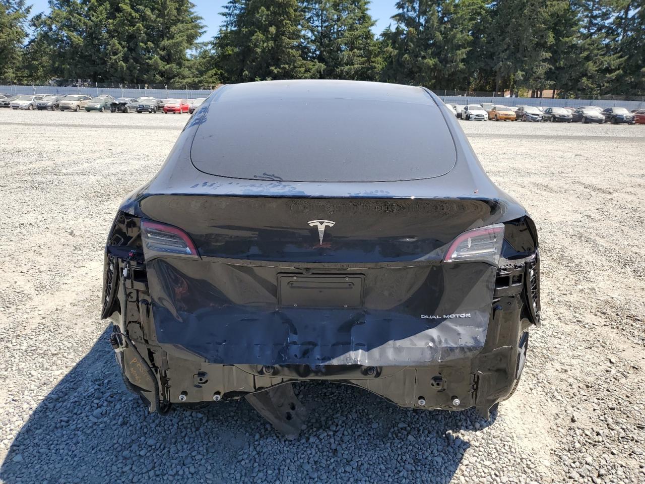 2024 Tesla Model Y VIN: 7SAYGDEE7RF981732 Lot: 64091864