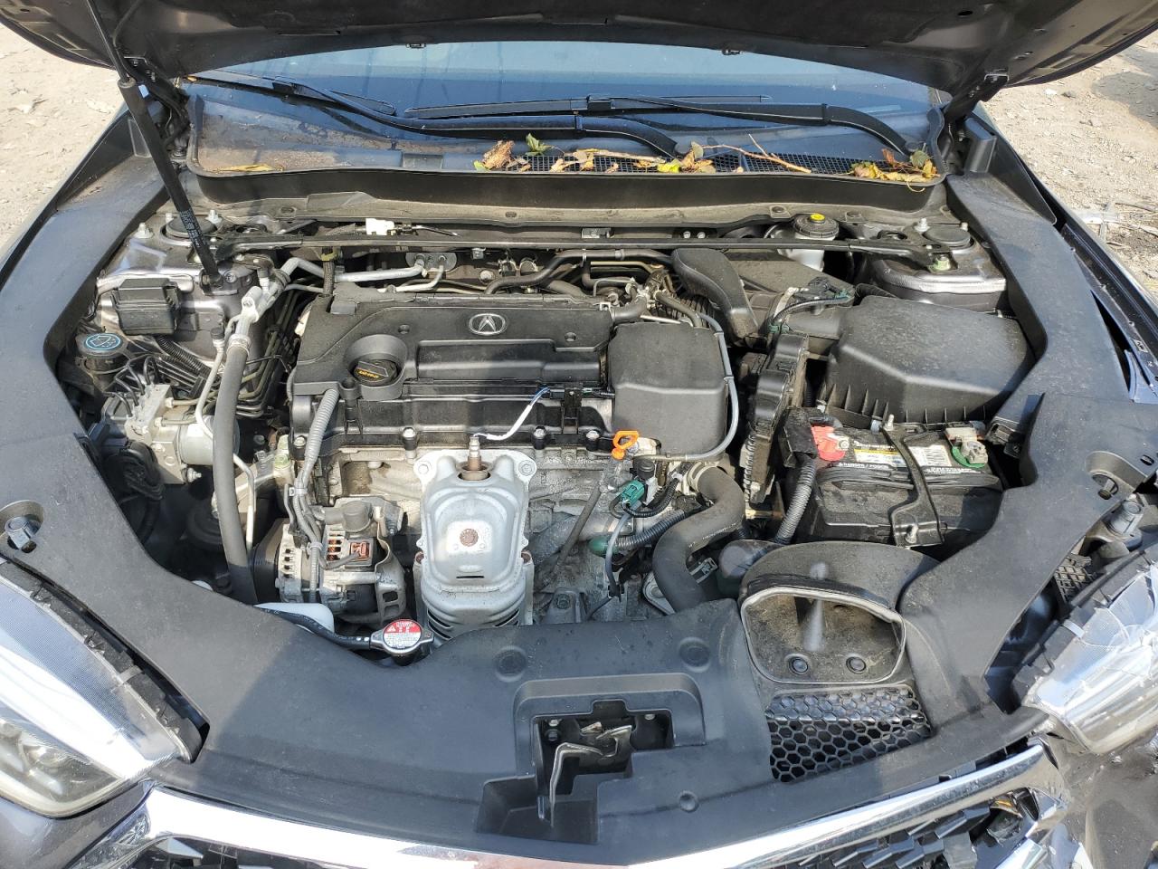 19UUB1F50KA000065 2019 Acura Tlx Technology