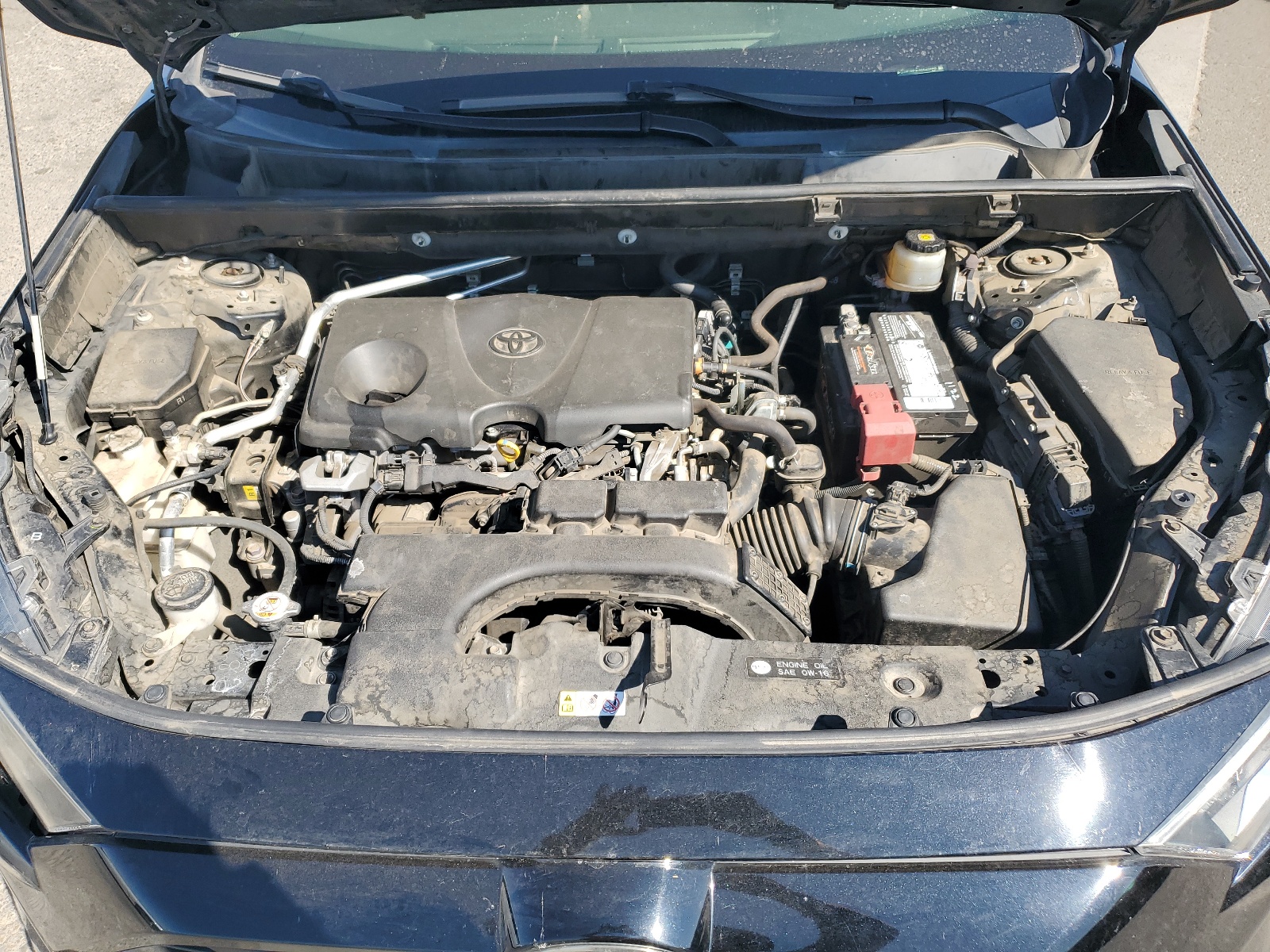 JTMP1RFV7KD026948 2019 Toyota Rav4 Xle