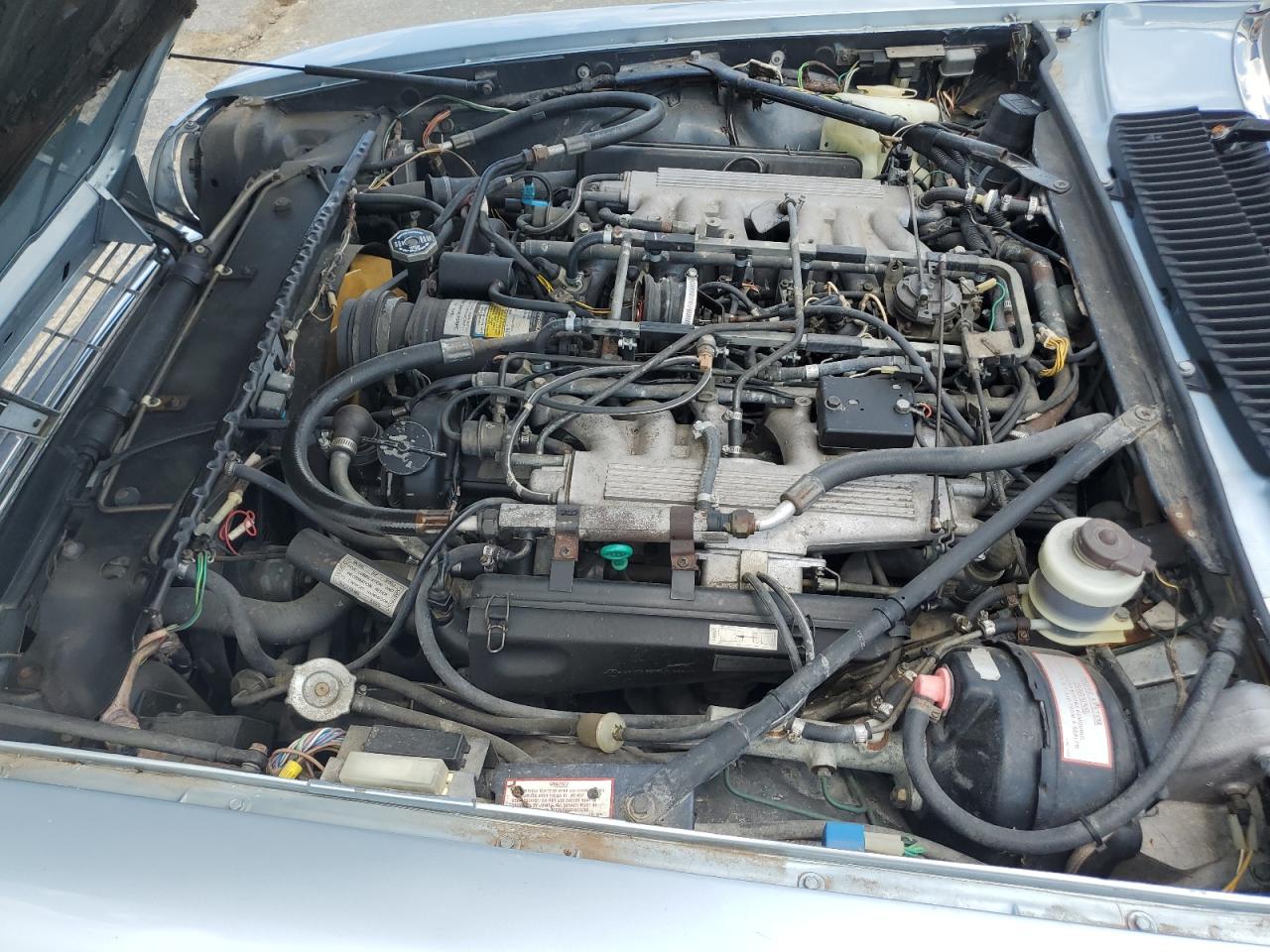 1988 Jaguar Xjs VIN: SAJNV5841JC140247 Lot: 62503334