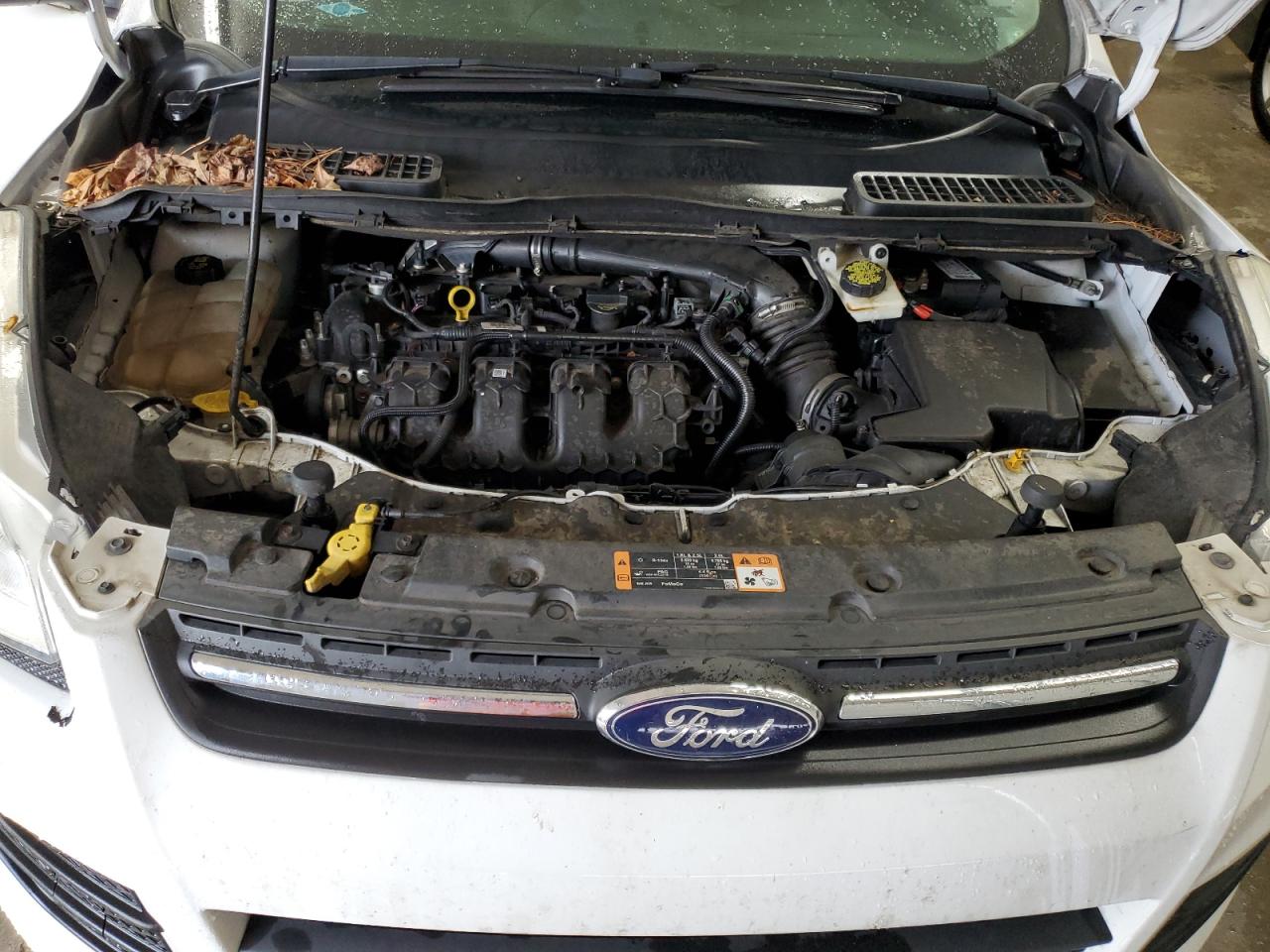 2015 Ford Escape Se VIN: 1FMCU9G94FUB02926 Lot: 64525604