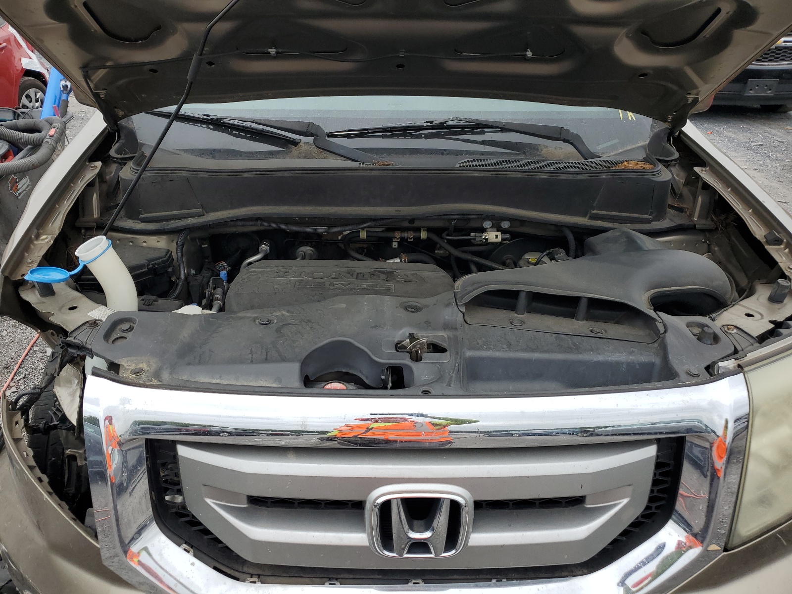 5FNYF4H51BB087744 2011 Honda Pilot Exl