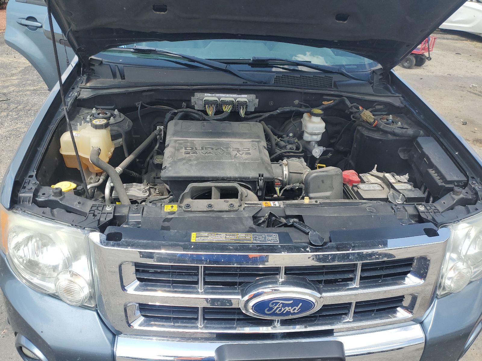 1FMCU0EG8BKA48260 2011 Ford Escape Limited