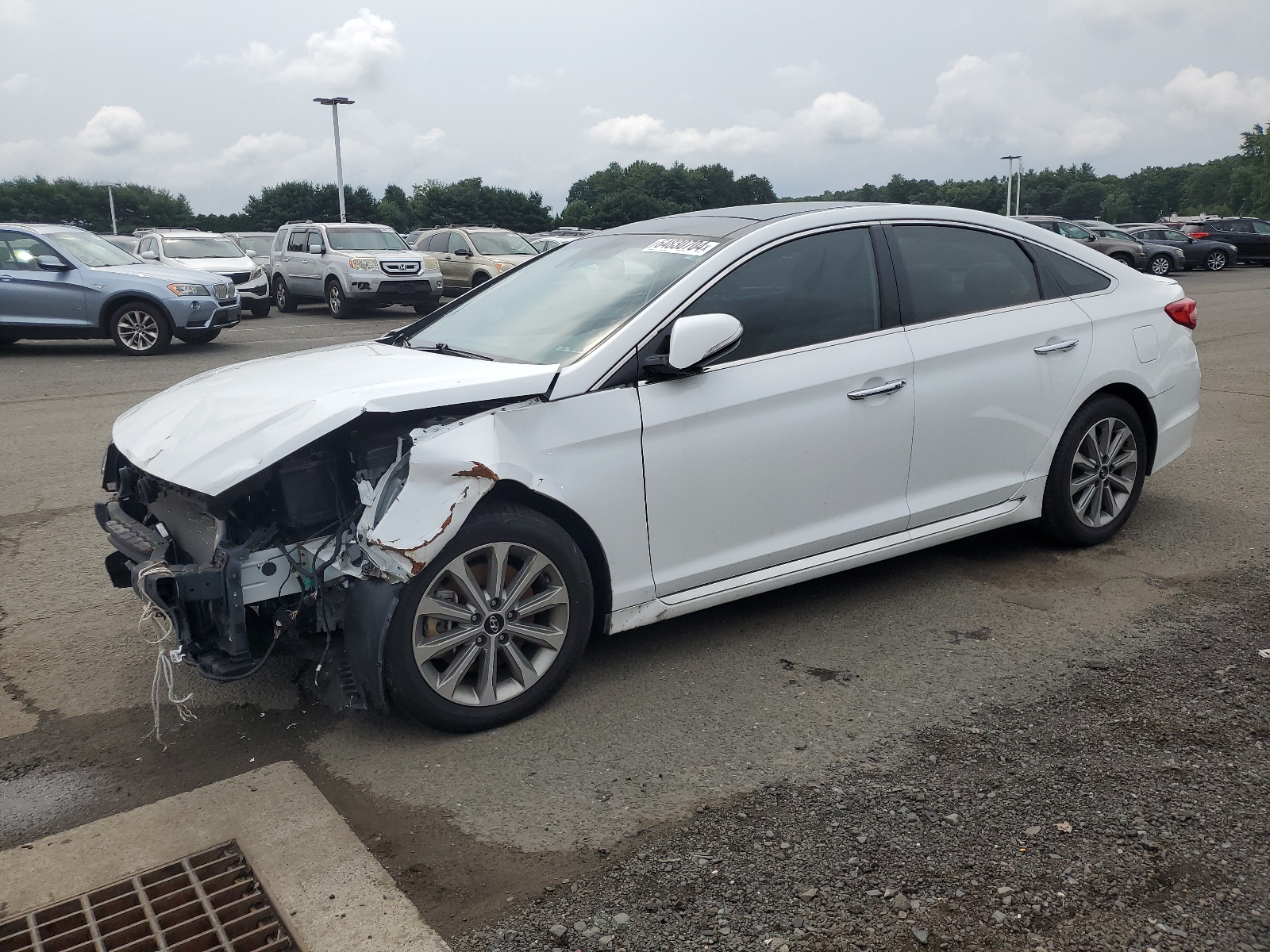 2016 Hyundai Sonata Sport vin: 5NPE34AF3GH342482