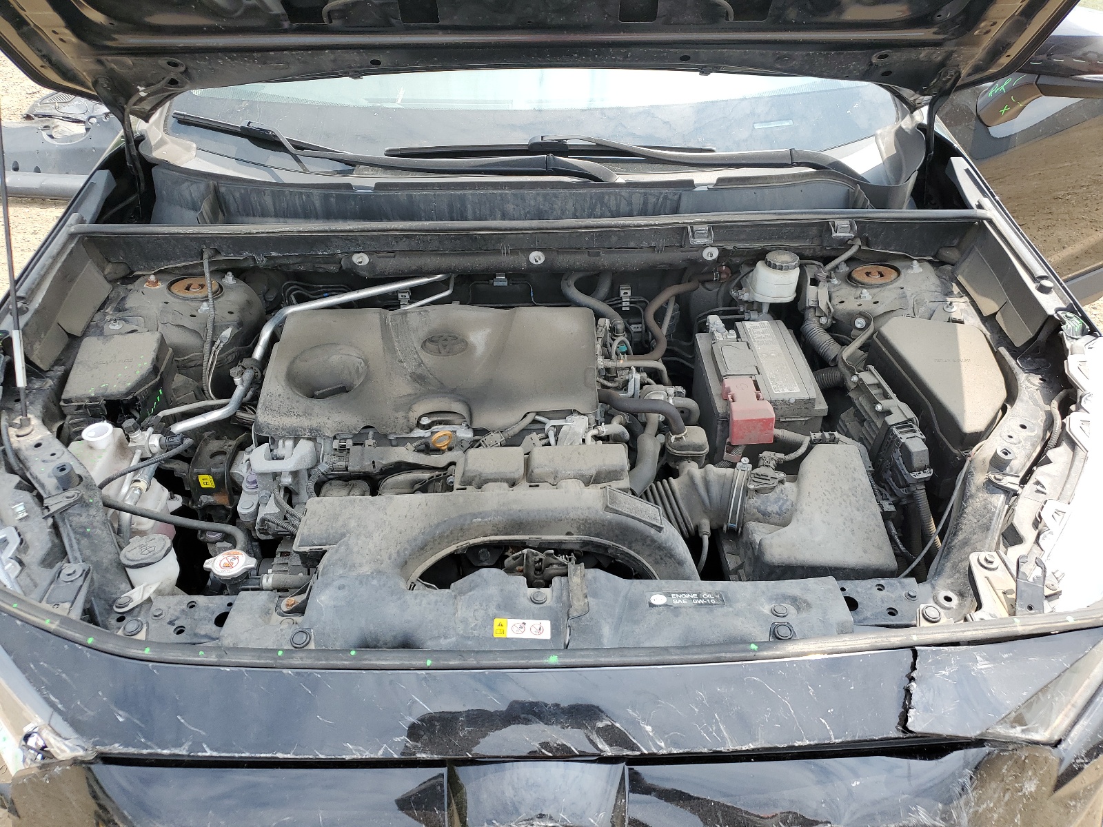 2T3B1RFV2KW031035 2019 Toyota Rav4 Le