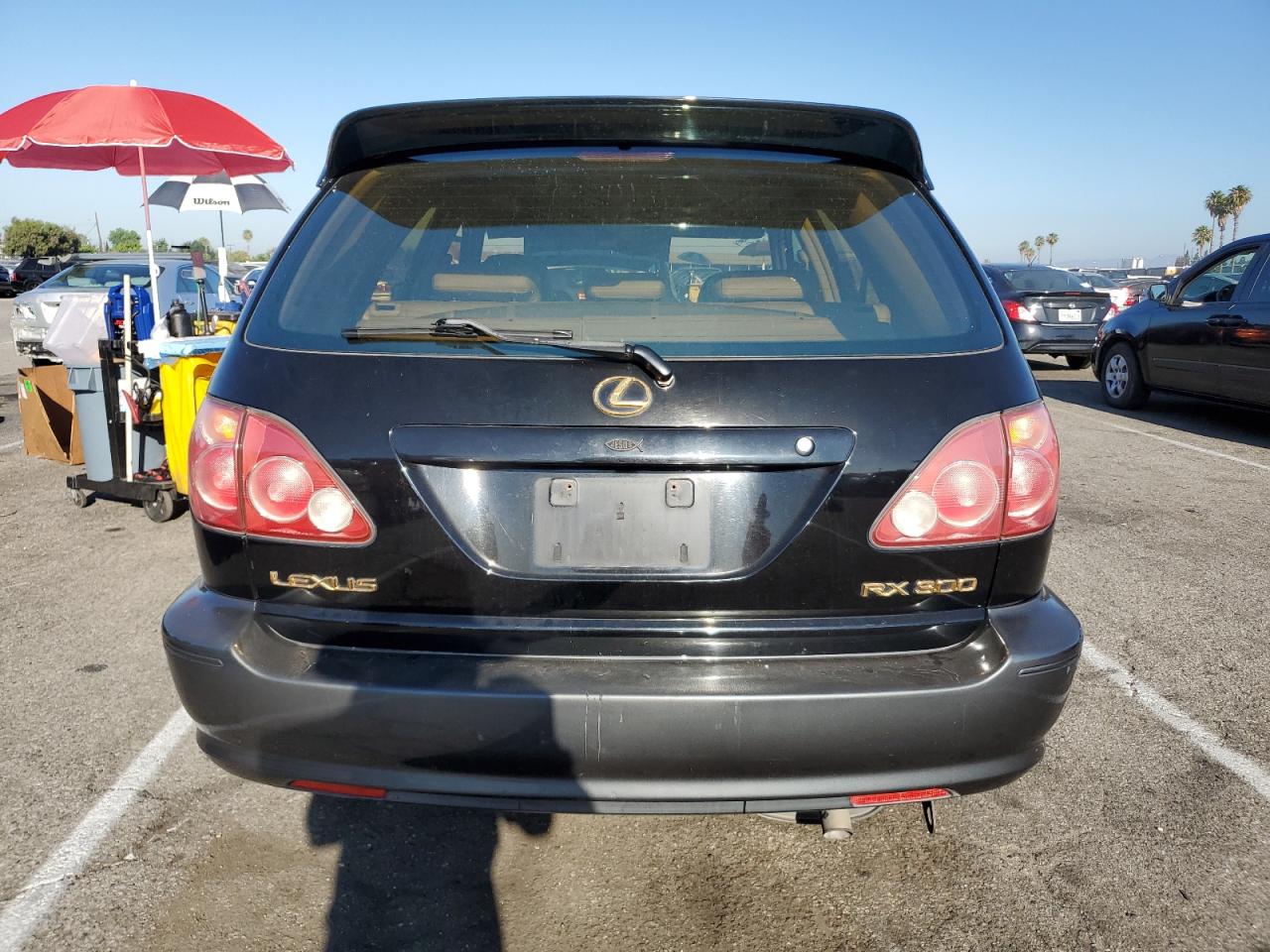 2000 Lexus Rx 300 VIN: JT6GF10U4Y0071758 Lot: 61490304