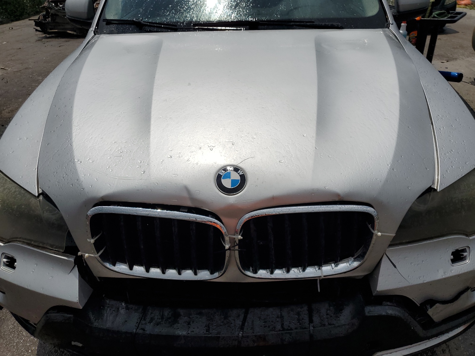 5UXFE43577L017413 2007 BMW X5 3.0I