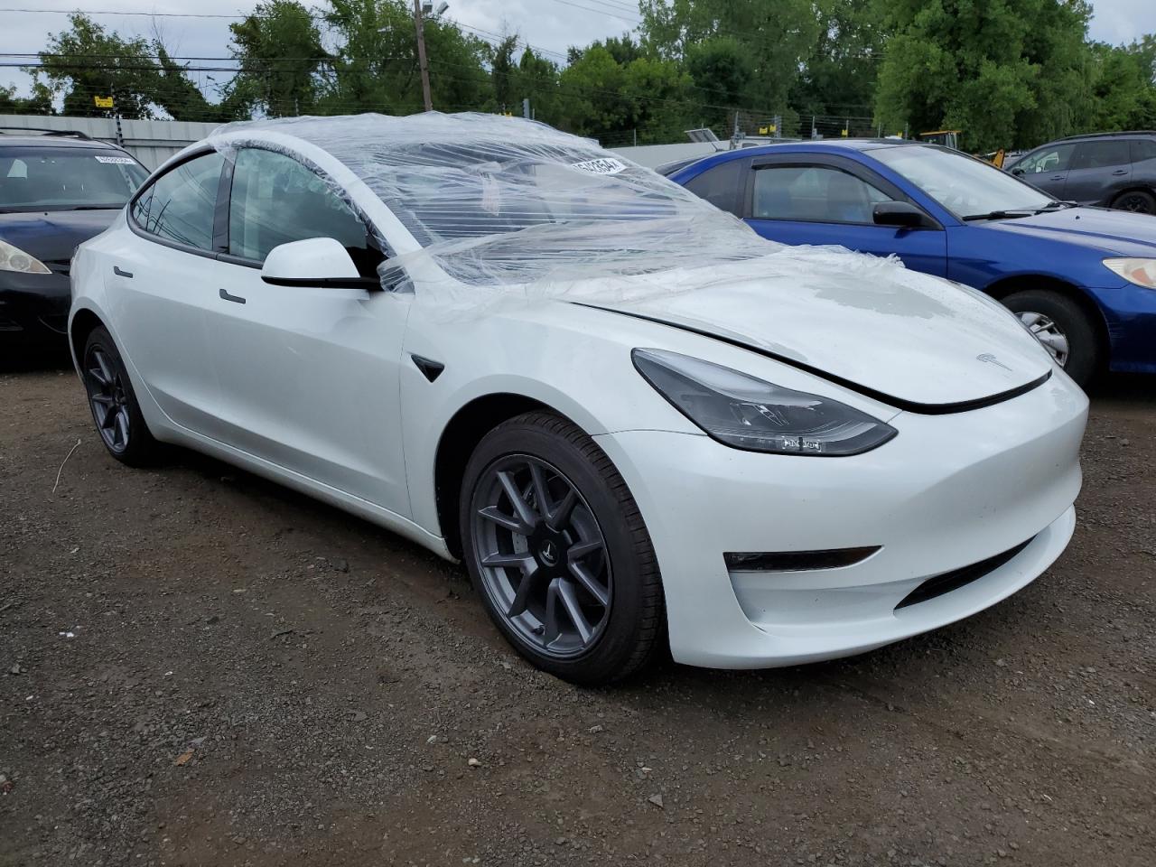 2023 Tesla Model 3 VIN: 5YJ3E1EB3PF596649 Lot: 62642354