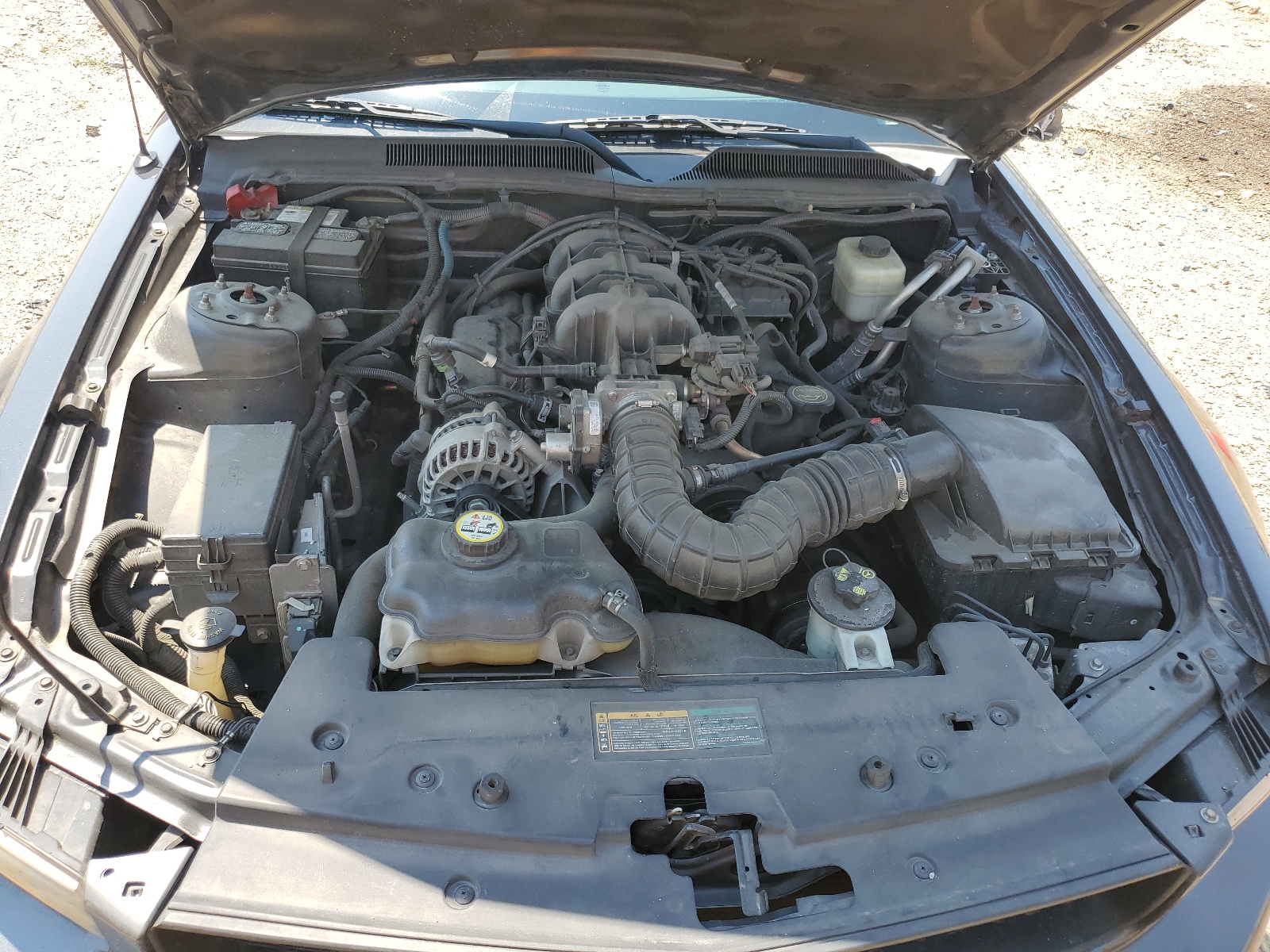 1ZVHT80N685196574 2008 Ford Mustang