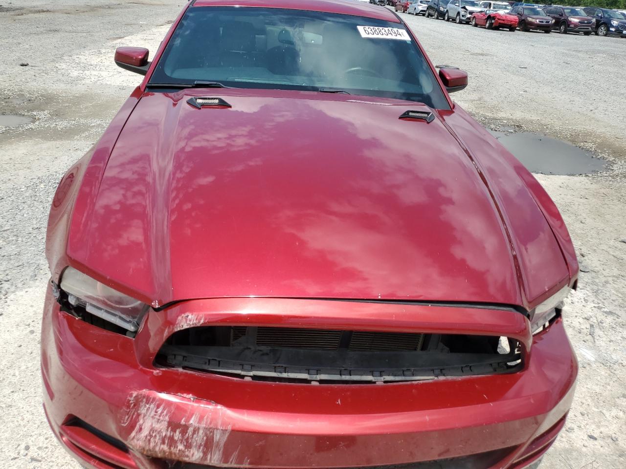 1ZVBP8AM6E5234235 2014 Ford Mustang