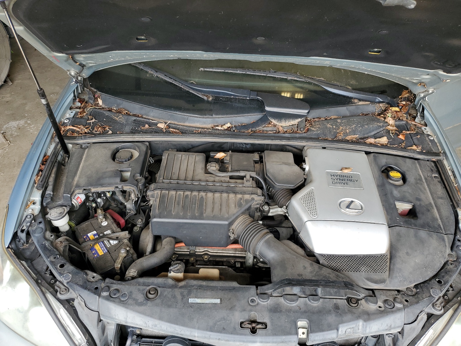 JTJHW31U560012865 2006 Lexus Rx 400