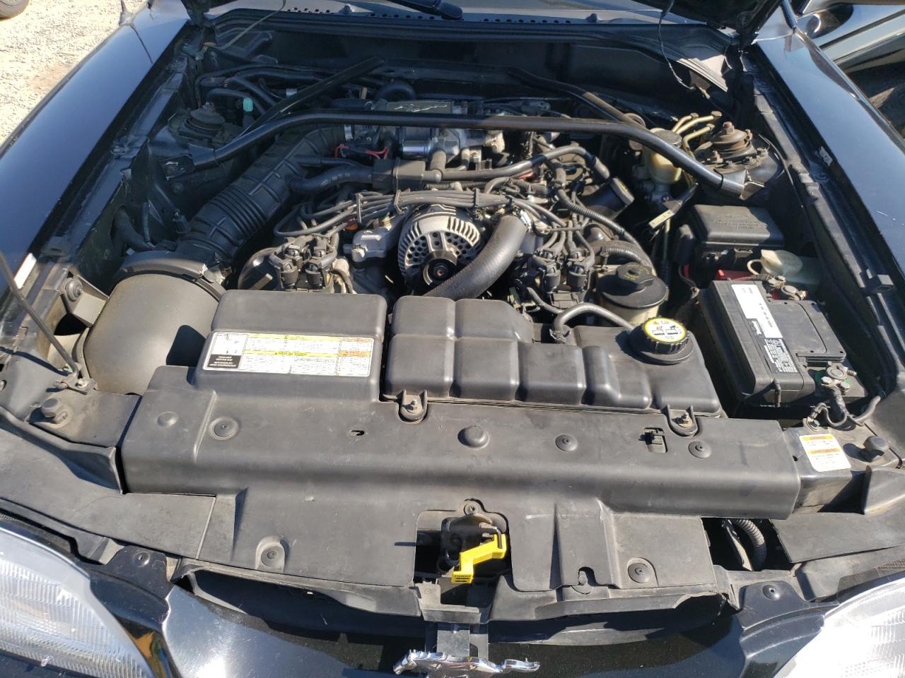 1996 Ford Mustang Gt VIN: 1FALP45X1TF230837 Lot: 62554414