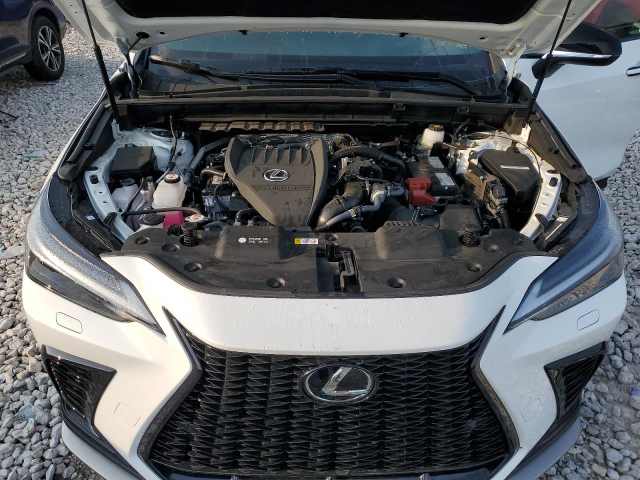 2T2KGCEZ2RC032881 2024 Lexus Nx 350 Luxury