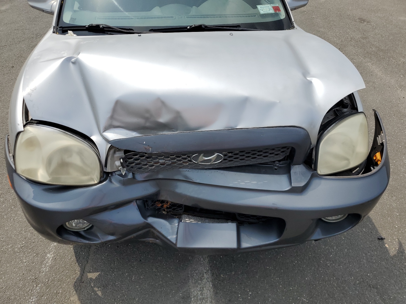 KM8SC13D63U540921 2003 Hyundai Santa Fe Gls